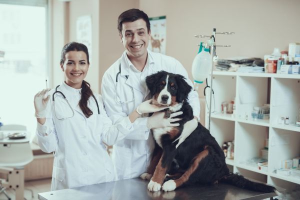 Seguro Empresarial para Pet Shops e Clínicas Veterinárias